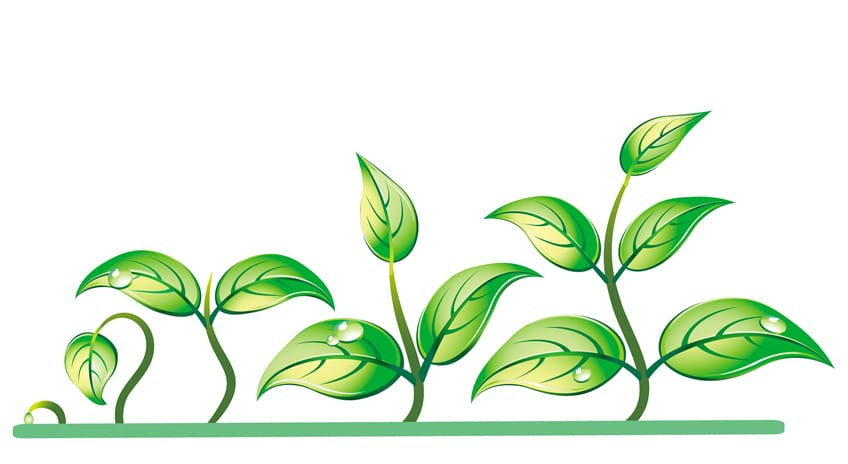 growth
