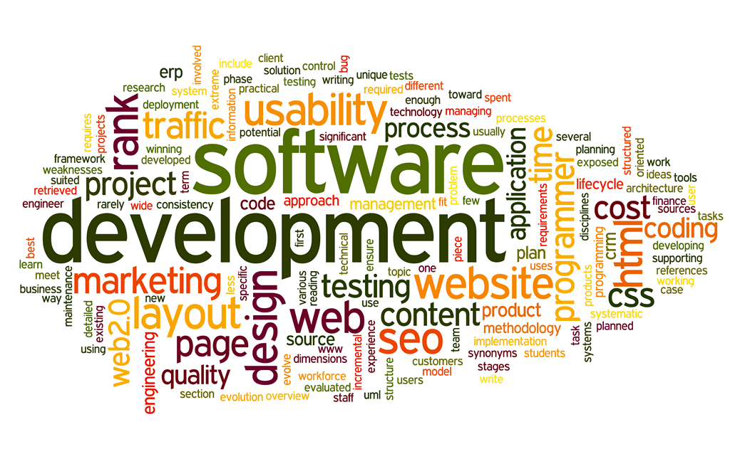 software developer