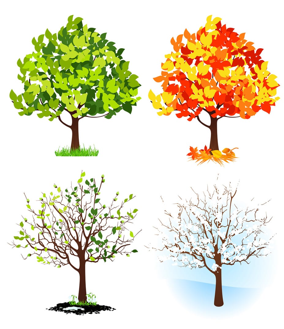four seasons
